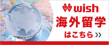 ウィッシュインターナショナル