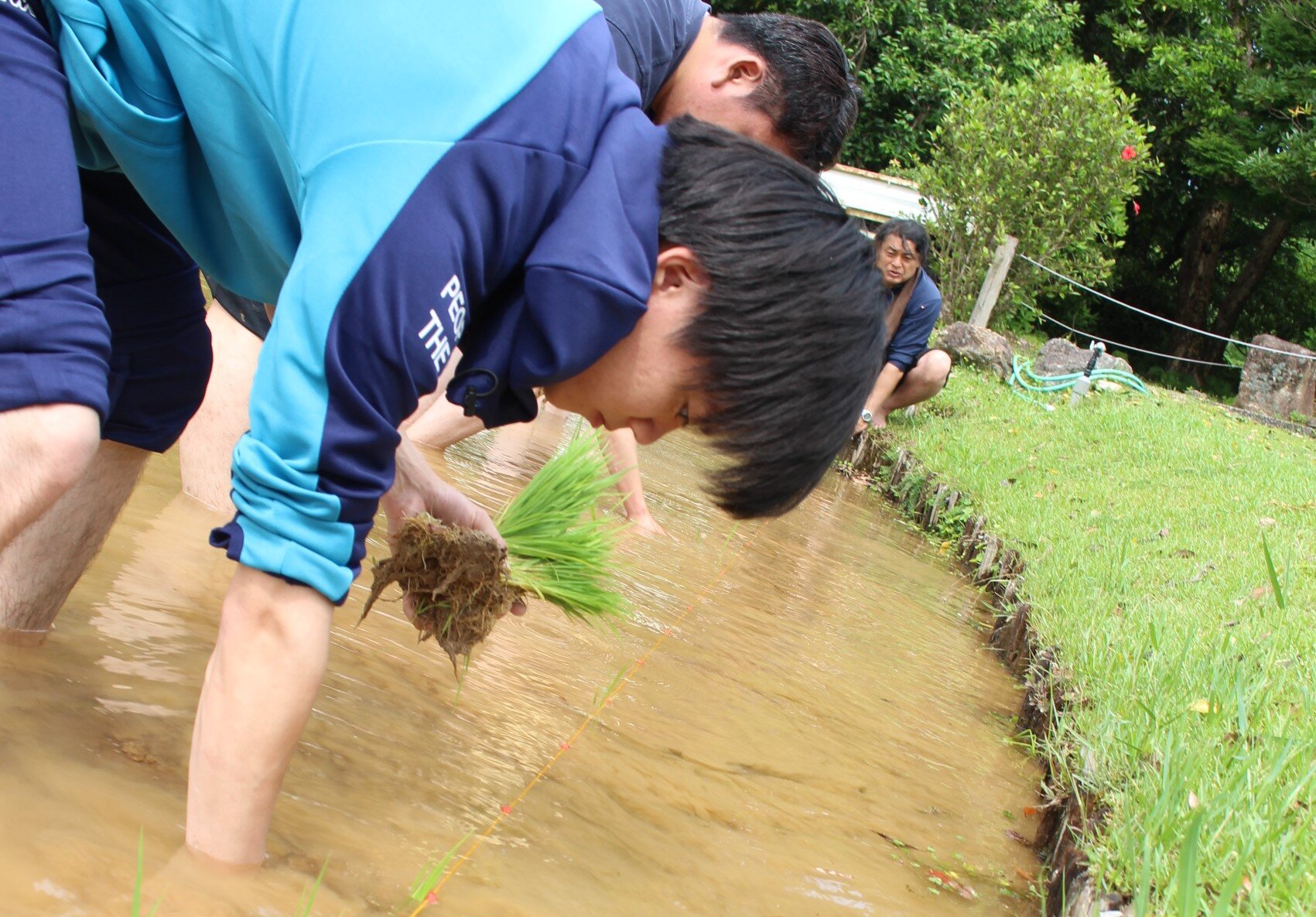 おおぞらのスタッフが一つひとつ心を込めて田植えをしました